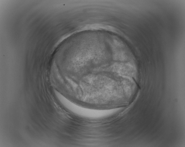 X0000080741497200701121923