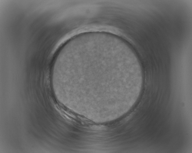 X0000080741498200701121923