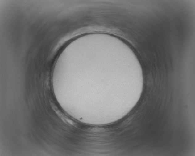 X0000080741499200701121923