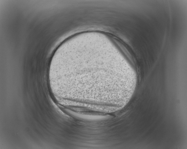 X0000080741500200701121923