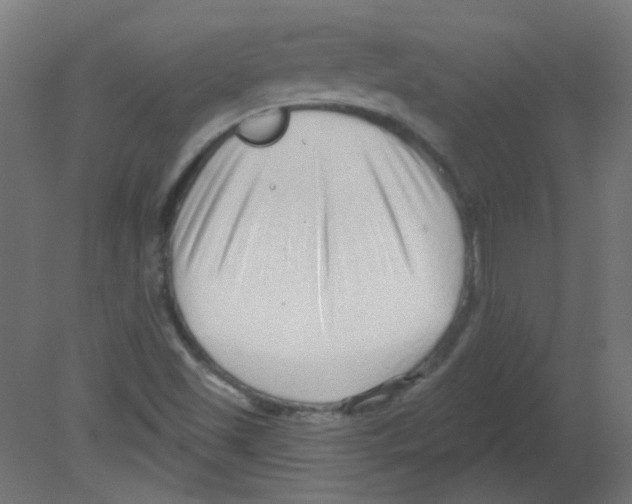 X0000080741501200701121923