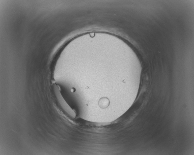 X0000080741502200701121923