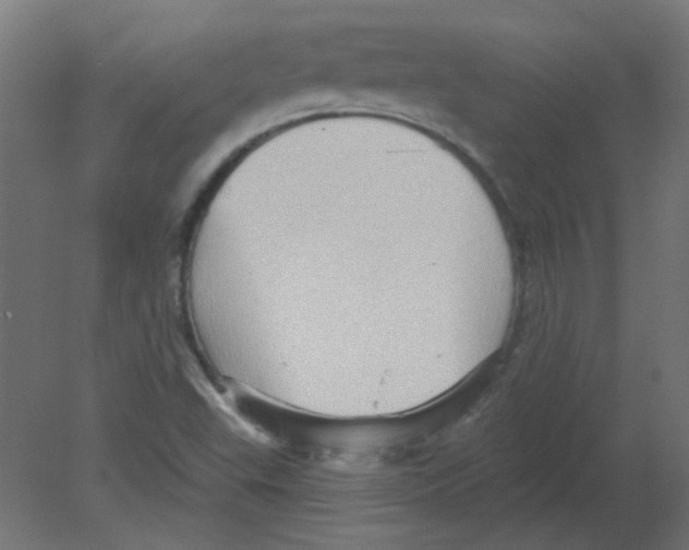 X0000080741503200701121923