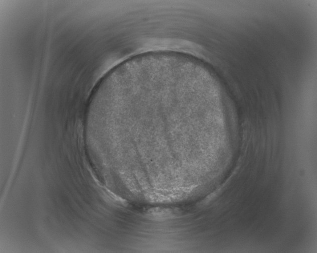 X0000080741505200701121923