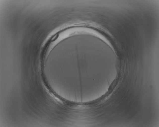 X0000080741506200701121923