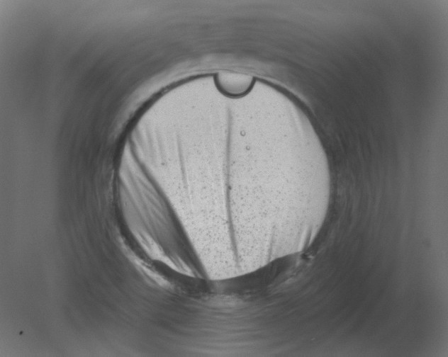 X0000080741507200701121923