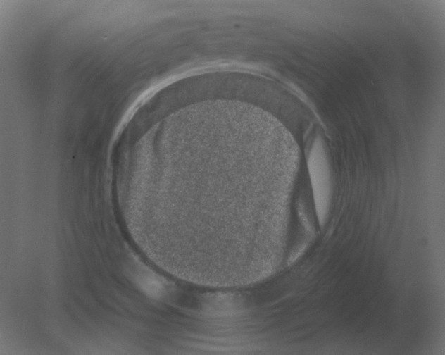 X0000080741508200701121923