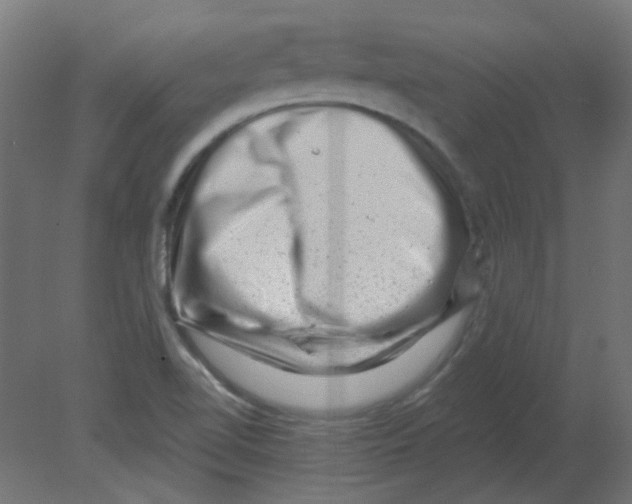 X0000080741510200701121923