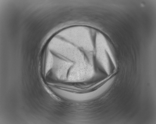 X0000080741511200701121923