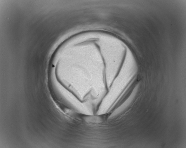 X0000080741512200701121923