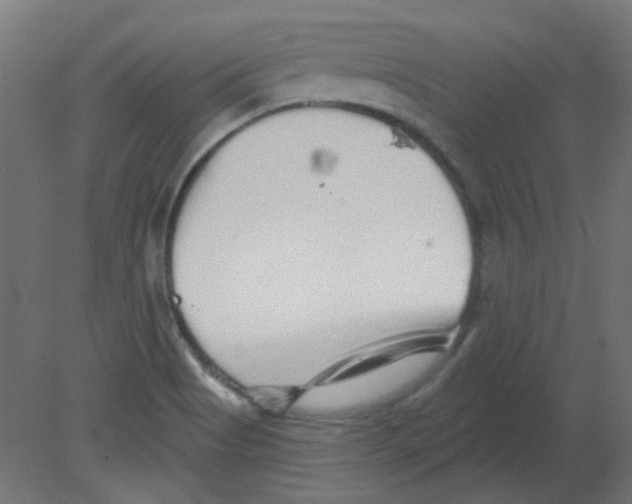 X0000080741513200701121923