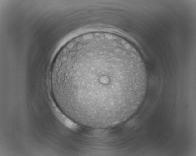 X0000080741514200701121923