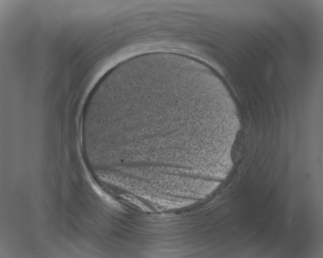 X0000080741515200701121923