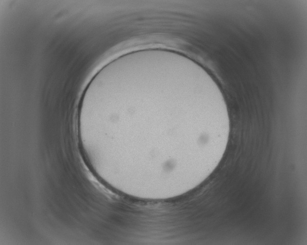 X0000080741516200701121923