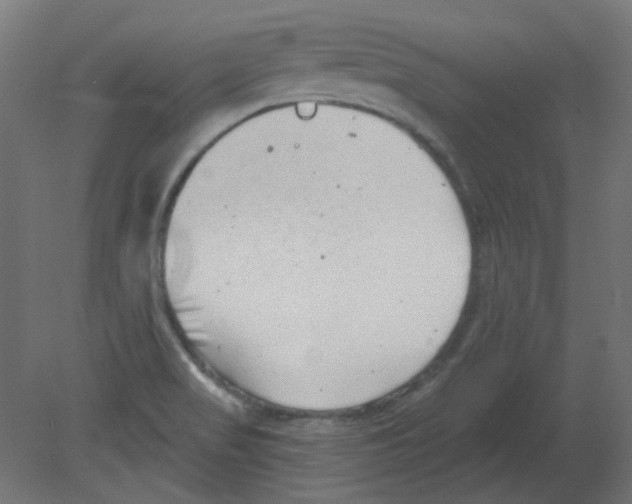 X0000080741517200701121923