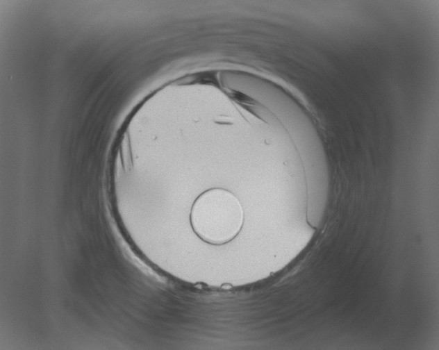 X0000080741518200701121923