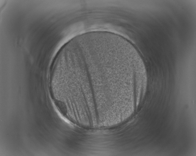 X0000080741519200701121923