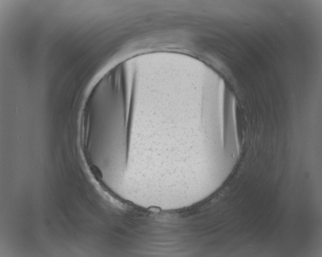 X0000080741520200701121923