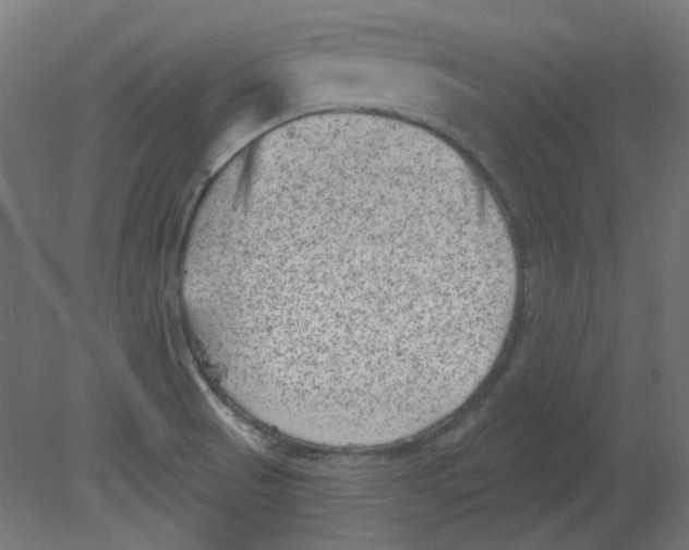 X0000080741521200701121923