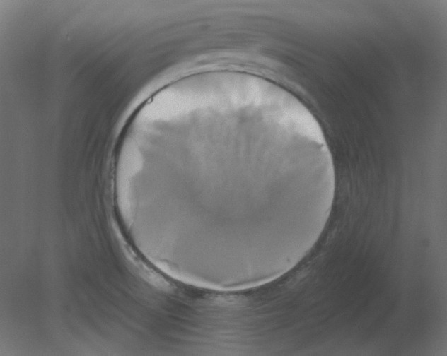 X0000080741522200701121923