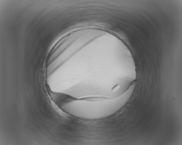 X0000080741524200701121923