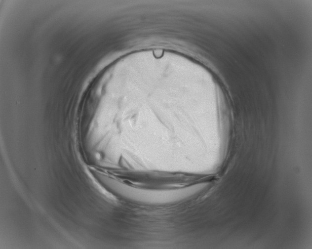 X0000080741525200701121923