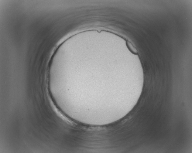 X0000080741526200701121923