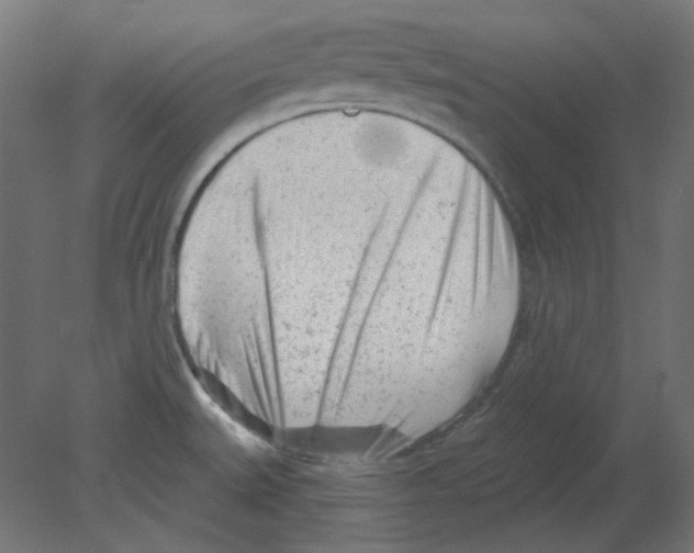 X0000080741527200701121923