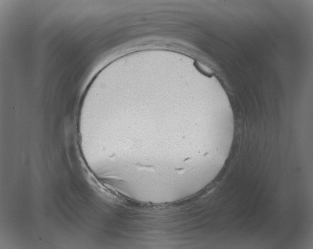 X0000080741530200701121923