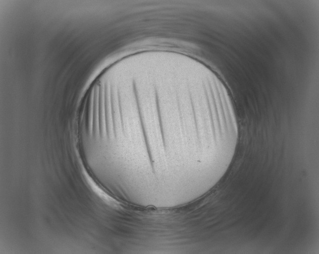 X0000080741531200701121923