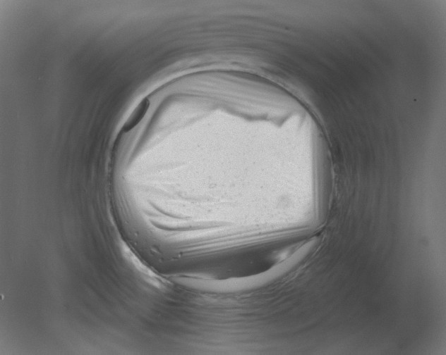 X0000080741532200701121923