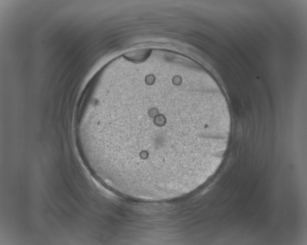 X0000080741533200701121923