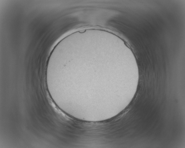 X0000080741534200701121923