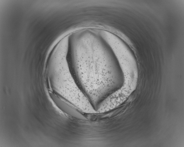 X0000080741536200701121923