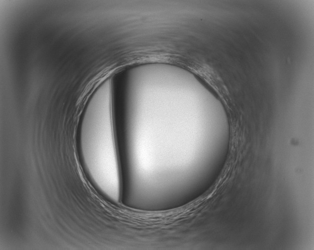 X0000080750001200612151010