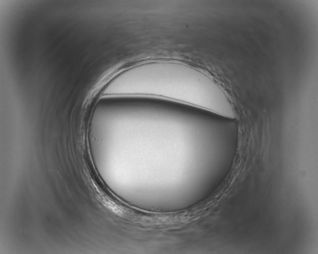 X0000080750005200612151010