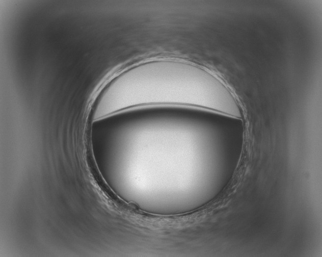 X0000080750007200612151010