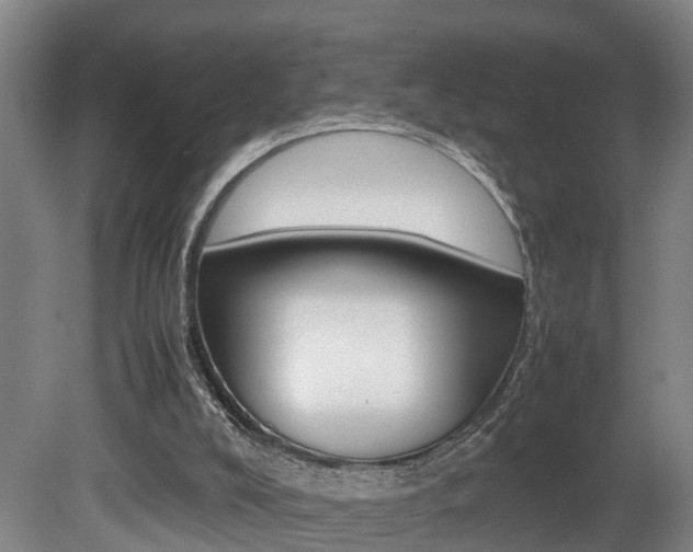 X0000080750008200612151010