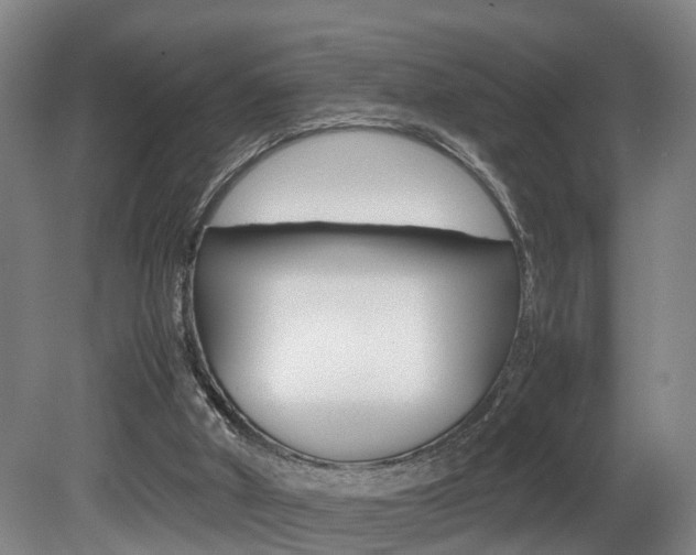 X0000080750010200612151009