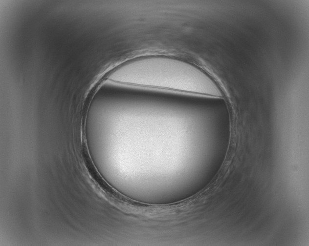X0000080750011200612151009