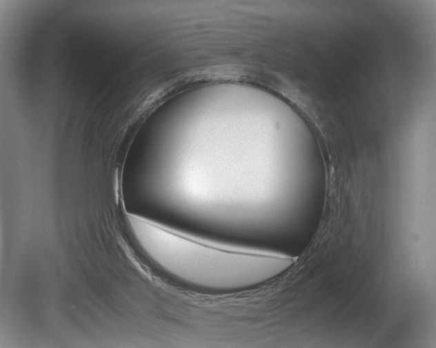 X0000080750013200612151009