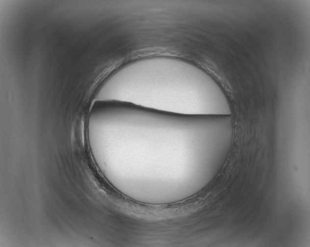 X0000080750014200612151009