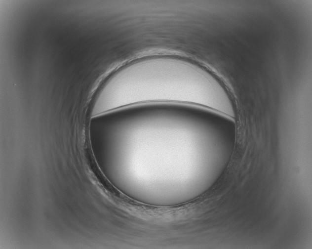 X0000080750015200612151009