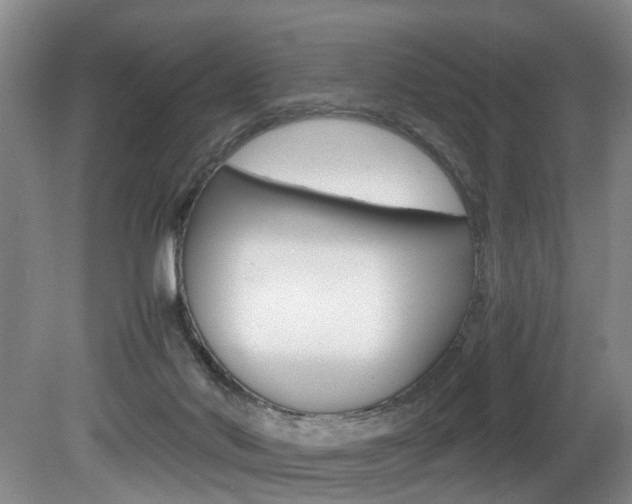 X0000080750022200612151009