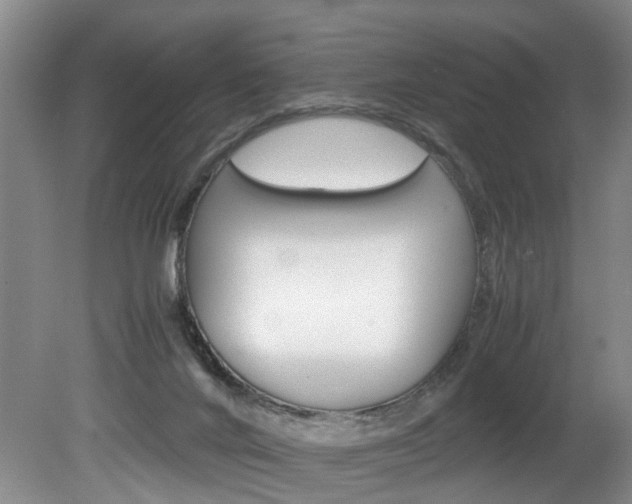 X0000080750024200612151009
