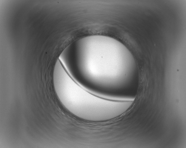X0000080750025200612151009