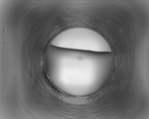 X0000080750032200612151009