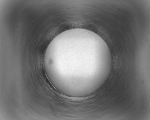 X0000080750034200612151009