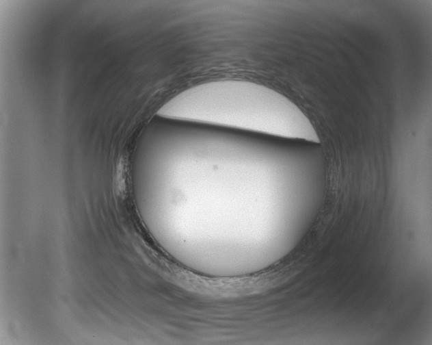 X0000080750038200612151009