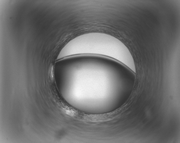 X0000080750041200612151009